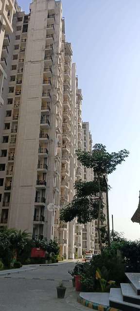 3 BHK Flat In Sikka Karnam Greens For Sale  In Sector 143b, Sector 143b, Noida