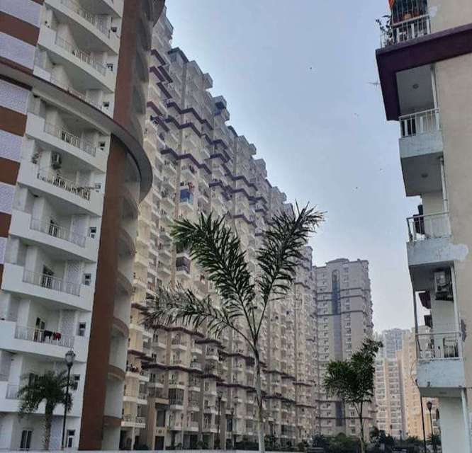 3 BHK Flat In Samridhi Grand Avenue For Sale  In Samridhi Grand Avenue