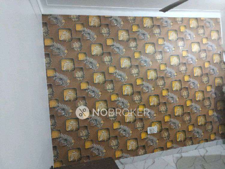 PG for Boys in  Shalimar Bagh