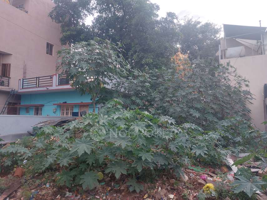 Plot For Sale  In Karihobanahalli