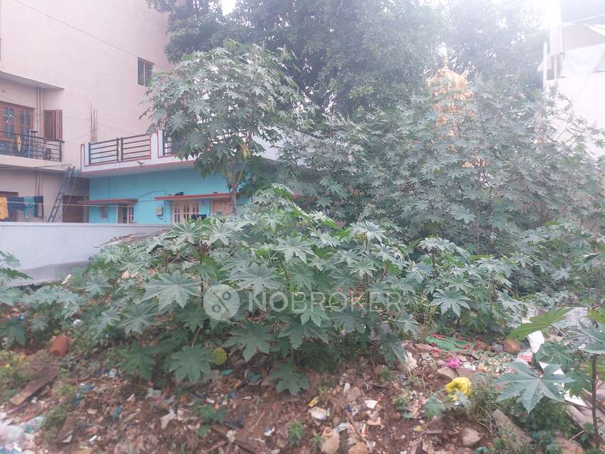 Plot For Sale  In Karihobanahalli