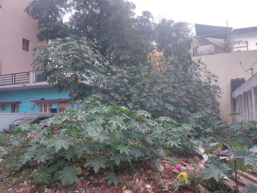 Plot For Sale  In Karihobanahalli