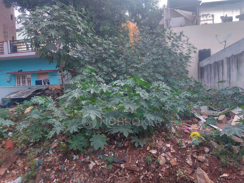 Plot For Sale  In Karihobanahalli