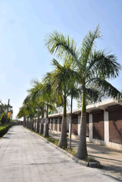 3 BHK House For Sale  In 1, Yakubpur Rd, Block A, Sector 85, Noida, Uttar Pradesh 201304, India