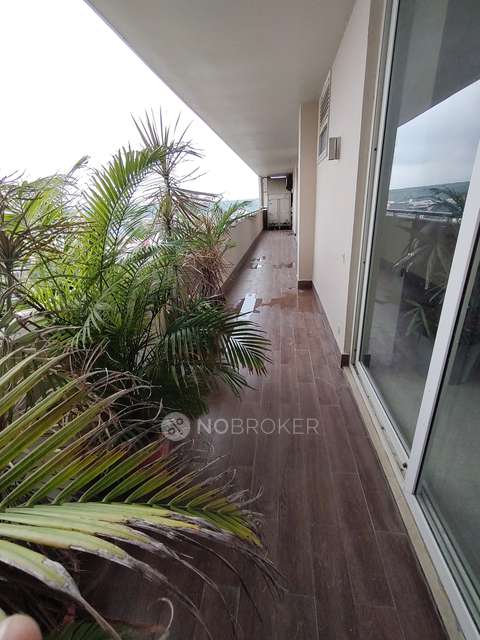 4+ BHK Flat In Salcon The Verandas, Sector 54 For Sale  In Sector 54