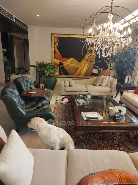 4+ BHK Flat In Salcon The Verandas, Sector 54 For Sale  In Sector 54