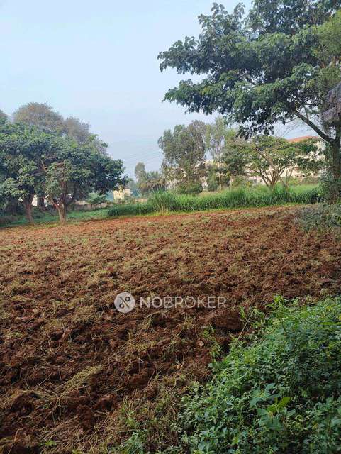 Godown/Warehouse in Bommasandra, Bangalore for Rent 