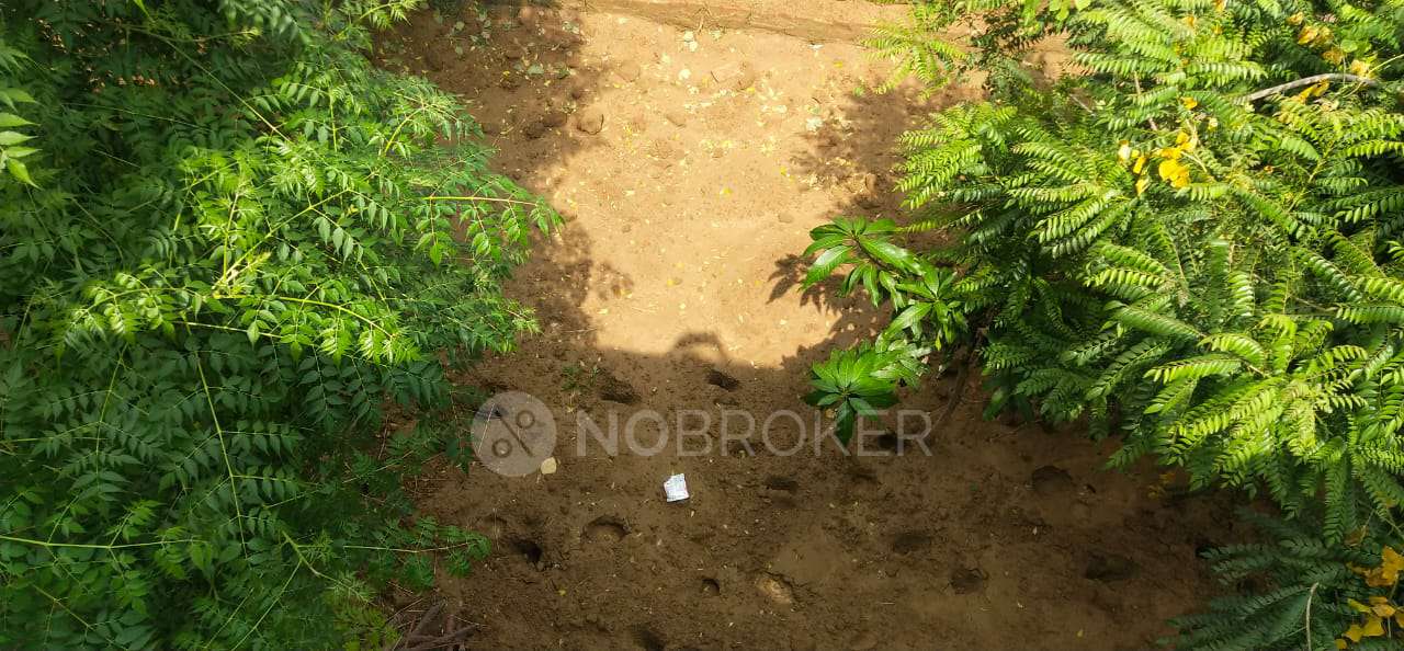 Plot For Sale  In Najafgarh