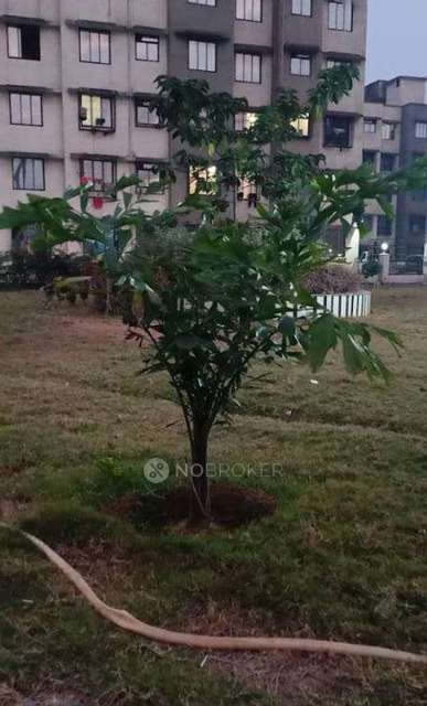 1 BHK Flat In Mahalaxmi Yashwant Sankalp Tulip,phase 2, Saravali For Sale  In Tarapur