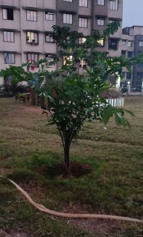 Mahalaxmi Yashwant Sankalp Jasmin Phase 2