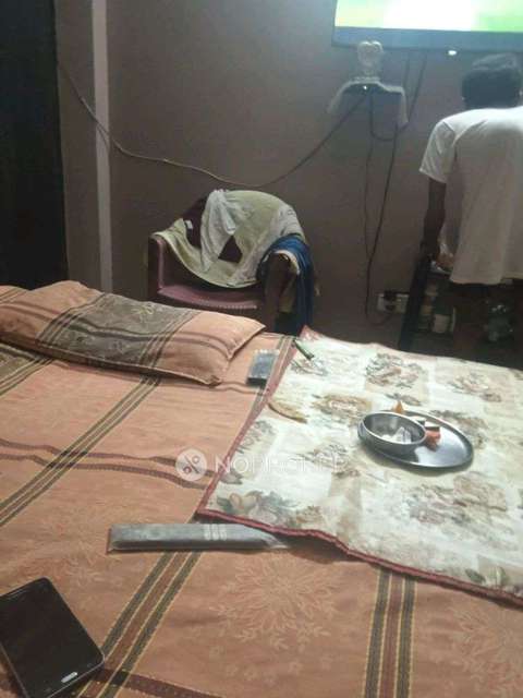 3 BHK Flat In Apartment  for Rent  In Fateh Nagar