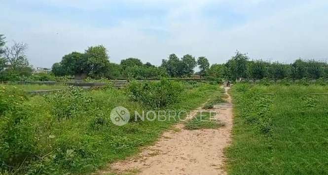 Plot For Sale  In Saini