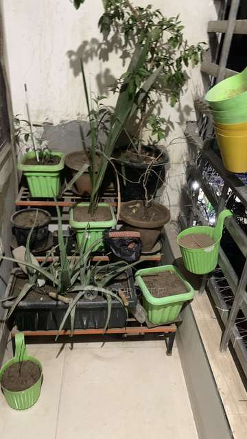 3 BHK Flat In Samar  For Sale  In Okhla