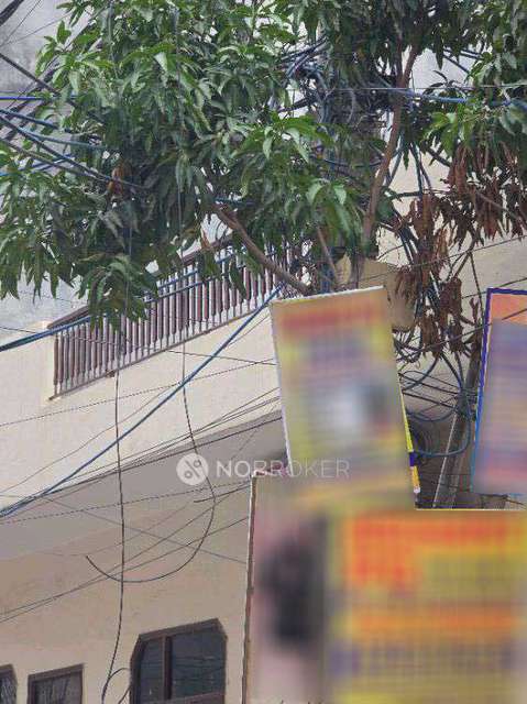 PG for Boys in Sector 22,