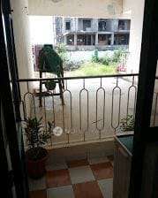 1 BHK Flat In Diya Greencity For Sale  In Raj Nagar Extension