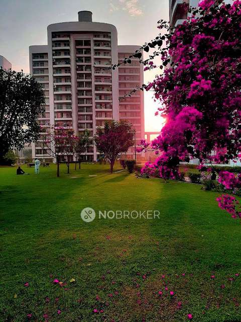 4 BHK Flat In Chintels Paradiso for Rent  In Sector-109