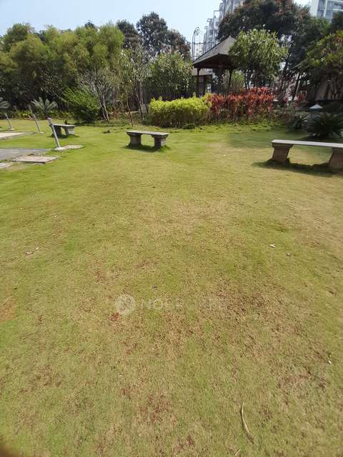 2 BHK Flat In Shriyans Society for Rent  In Pimpri Chinchwad