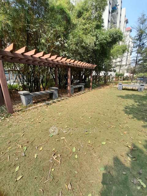 2 BHK Flat In Shriyans Society for Rent  In Pimpri Chinchwad