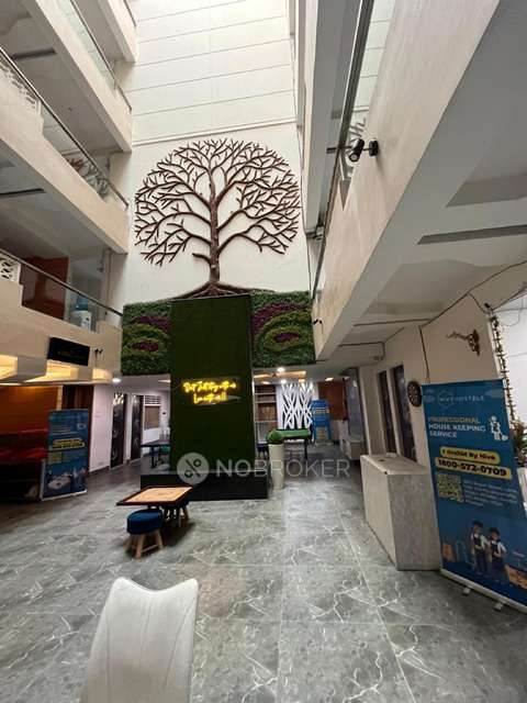 PG for Boys in Sector 126