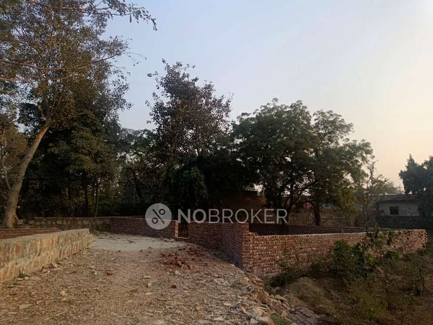Plot For Sale  In Dera Mandi