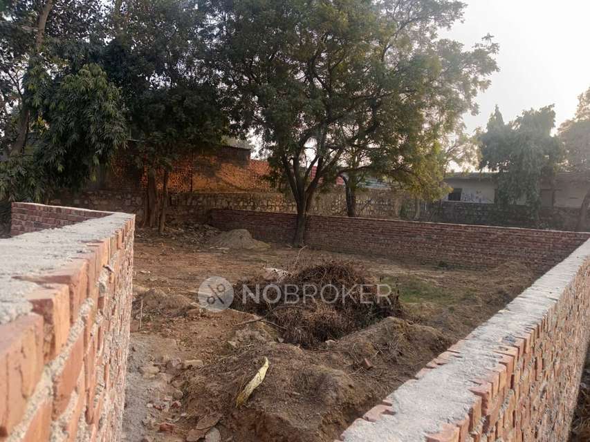 Plot For Sale  In Dera Mandi