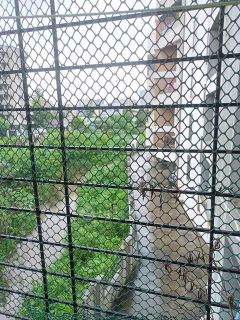 2 BHK Flat In Shankeshwar Villa For Sale  In Ravet