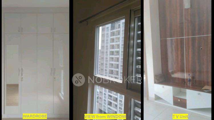 1 BHK Flat In Assetz Here And Now for Rent  In Manyata Tech Park, Bangalore