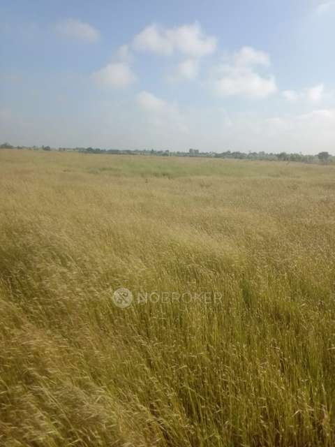 Plot For Sale  In Zaheerabad Bombay Transport Co.