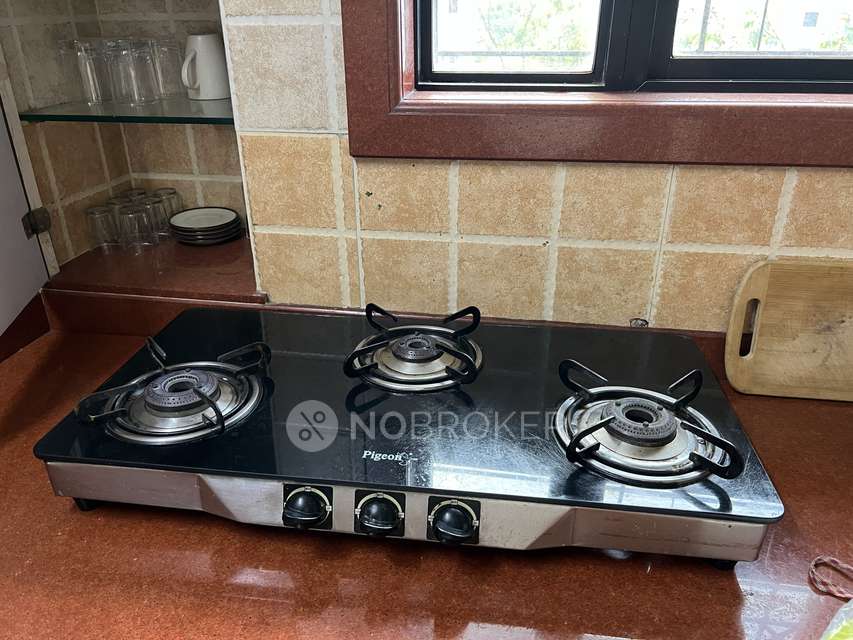 PG for Anyone in Balewadi