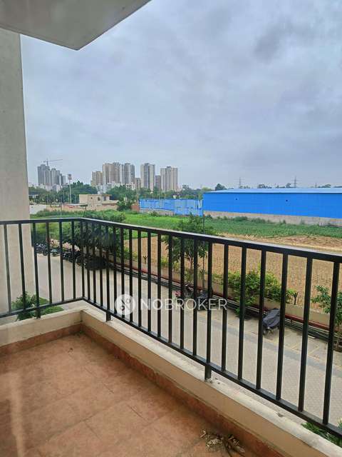 3 BHK Flat In Gls Avenue 51 for Rent  In Sector 92