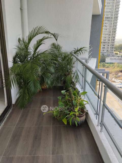 3 BHK Flat In Blue Ridge - Paranjpe Schemes for Rent  In Hinjewadi