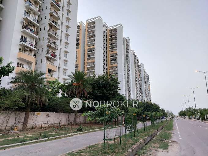 3 BHK Flat In Panchsheel Green 1  for Rent  In Sector 16b 