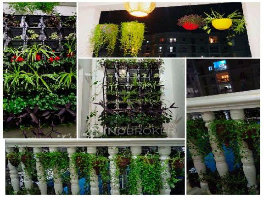 2 BHK Flat In Garuda Royal Homes For Sale  In Krishnarajapura