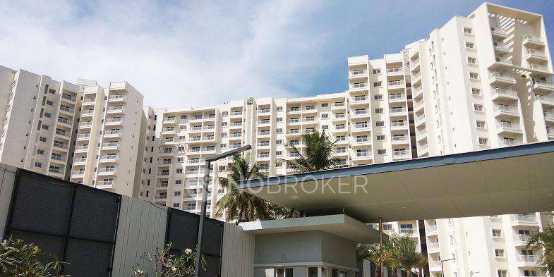 3 BHK Flat In Dnr Atmosphere For Sale  In Ramagondanahalli