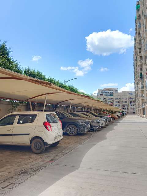 3 BHK Flat In Tulip White For Sale  In Sector 69