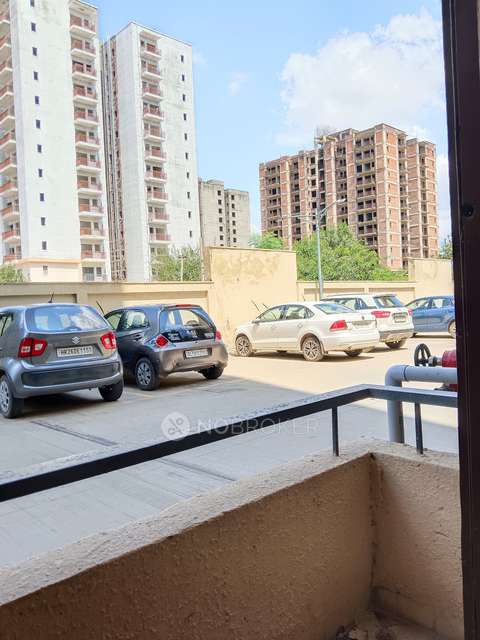 3 BHK Flat In Tulip White For Sale  In Sector 69