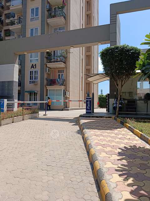 3 BHK Flat In Tulip White For Sale  In Sector 69