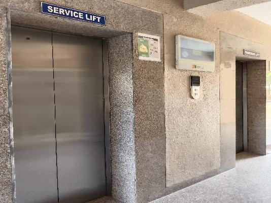 3 BHK Flat In Tulip White For Sale  In Sector 69