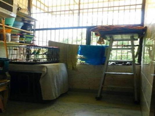 3 BHK Flat In Rwa Sector-22 Pocket 11&11a, Delhi For Sale  In Rohini