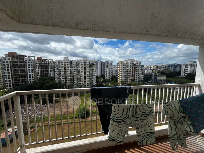 2 BHK Flat In Aswanis Galaxy for Rent  In  Wakad