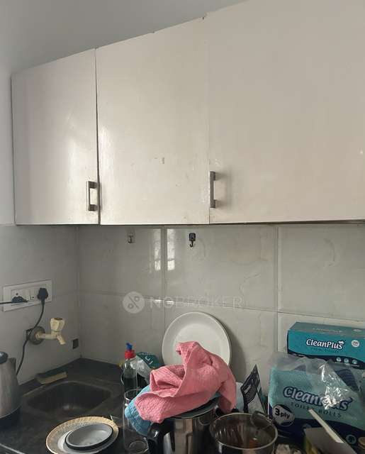 1 BHK Flat for Rent  In Doddanekkundi