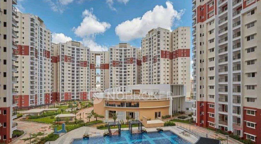 3 BHK Flat In Prestige Electroniccity for Rent  In Prestige Sunrise Park Birchwood