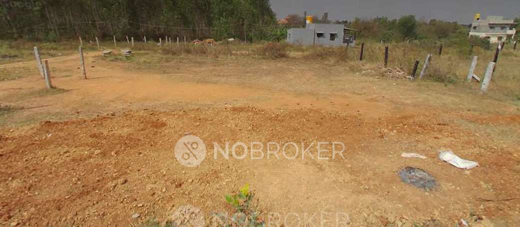 Plot For Sale  In Thammarayasandra Agrahara
