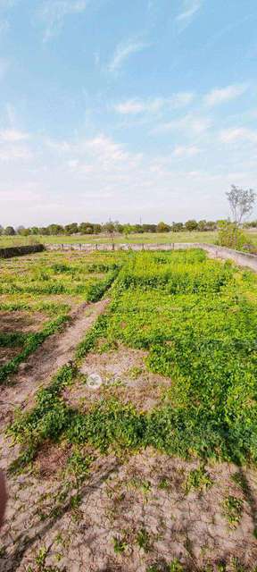 Plot For Sale  In Vaidpura
