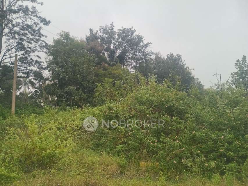 Plot For Sale  In Telecom Green Field Gardens - 3 In Gadenahalli