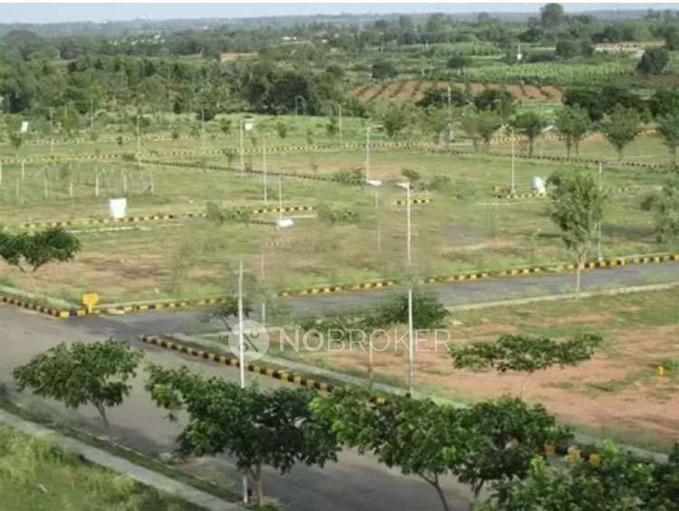 Plot For Sale  In Yeida Residential Plot In Yamuna Express Way Industrial Development Authority Greater Noida