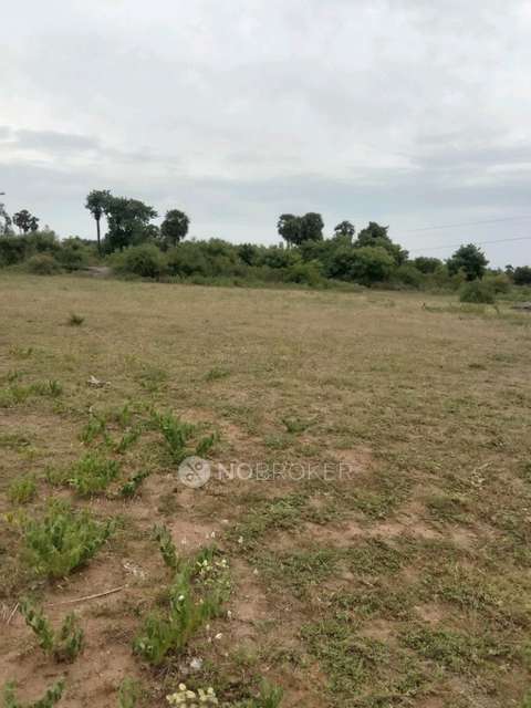 Plot For Sale  In Melmaruvathur Adhiparasakthi Mandram Puzhuthivakkam