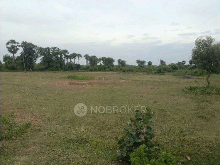 Plot For Sale  In Melmaruvathur Adhiparasakthi Mandram Puzhuthivakkam