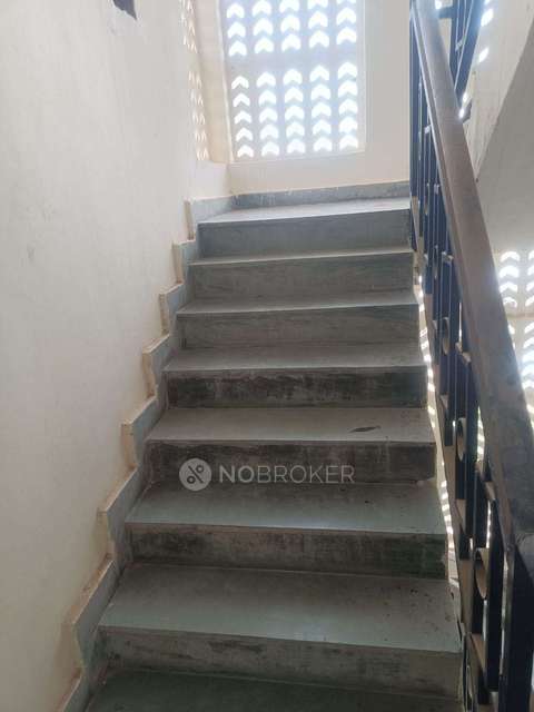 3 BHK Flat In Puri Vip Floors For Sale  In Sector 81