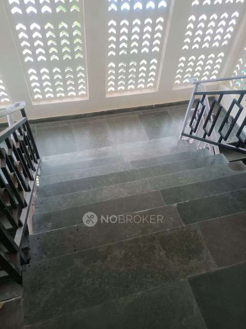 3 BHK Flat In Puri Vip Floors For Sale  In Sector 81